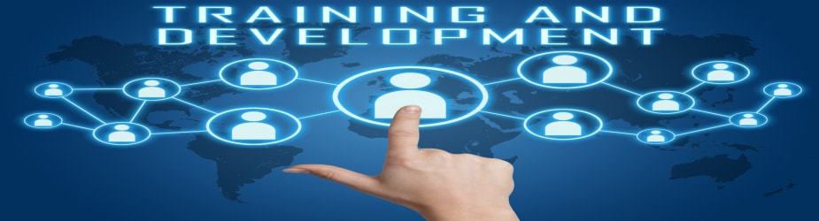 Specialized Training Services | Aboulsoud CPA